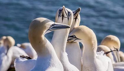 南县伴游，定制QQ：3494206190微信：act1322